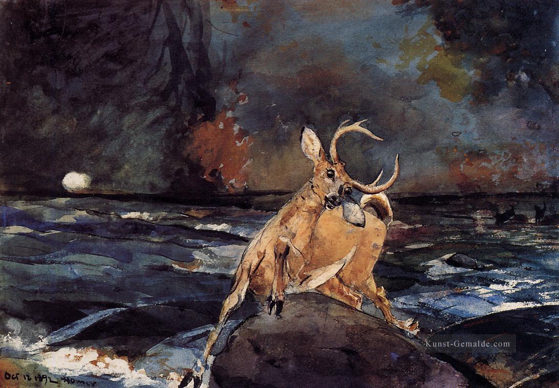 einen guten Schuss Adirondacks Winslow Homer Aquarelle Ölgemälde